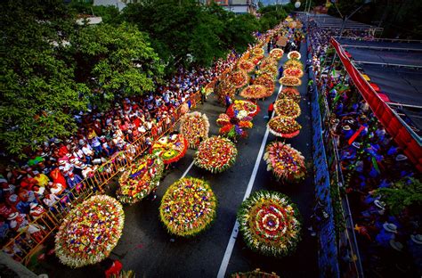 Festival de Flores de Cipanas: Uma Celebração da Diversidade e Renovação Cultural Através da Música